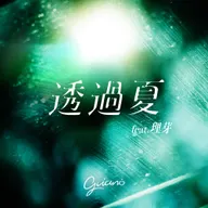 透过夏 (feat. RIM)